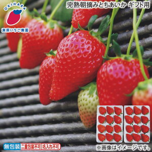 お歳暮 冬ギフト 完熟朝摘みとちあいか 通常 ギフト用 送料込み ギフト プレゼント 贈答 お取り寄せ お土産 (レビュー記入で300円OFFクーポン配布中)