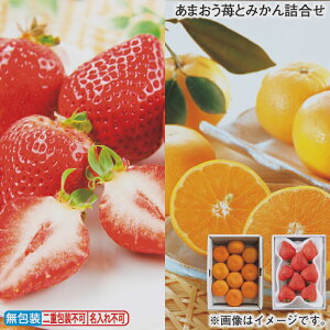 ԒI11/28܂Łyʏ퉿i5,290~4,990~zΕ ~Mtg ܂䕂Ƃ݂l  Mtg v[g   yY (r[L300~OFFN[|zz)