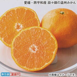 Ε QEFaY@iX̉B݂ ~Mtg  Mtg v[g   yY (r[L300~OFFN[|zz)