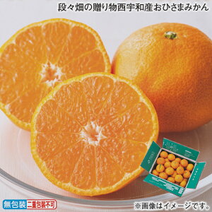 Ε iX̑蕨FaYЂ܂݂ ~Mtg  Mtg v[g   yY (r[L300~OFFN[|zz)