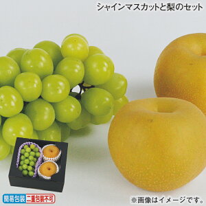お歳暮 シャインマスカットと梨のセット 冬ギフト 送料込み ギフト プレゼント 贈答 お取り寄せ お土産 (レビュー記入で300円OFFクーポン配布中)