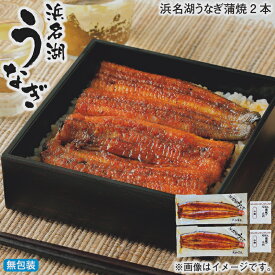 お歳暮 浜名湖うなぎ蒲焼 2本 3本 冬ギフト 送料込み ギフト プレゼント 贈答 お取り寄せ お土産 (レビュー記入で300円OFFクーポン配布中)