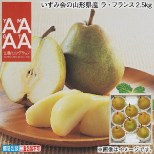 Ε R`Y EtX 1.5kg 2.5kg ~Mtg  Mtg v[g   yY (r[L300~OFFN[|zz)