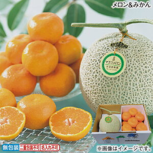 Ε ݂ ~Mtg  Mtg v[g   yY (r[L300~OFFN[|zz)