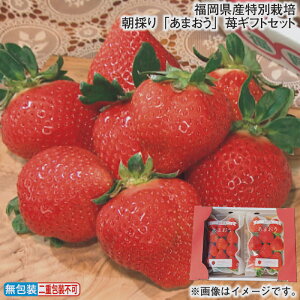 お歳暮 福岡県産特別栽培 朝採り「あまおう」苺ギフトセット 冬ギフト 送料込み ギフト プレゼント 贈答 お取り寄せ お土産 (レビュー記入で300円OFFクーポン配布中)