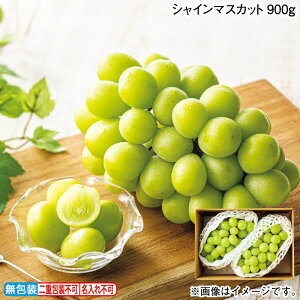 Ε ~Mtg {I VC}XJbg 680g 900g  Mtg v[g   yY (r[L300~OFFN[|zz)