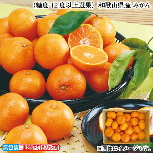 Ε ix12xȏIʁja̎RY@݂ ~Mtg  Mtg v[g   yY (r[L300~OFFN[|zz)