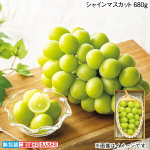 Ε VC}XJbg 680g 900g ~Mtg  Mtg v[g   yY (r[L300~OFFN[|zz)