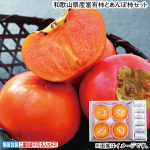 お歳暮 和歌山県産富有柿とあんぽ柿セット 冬ギフト 送料込み ギフト プレゼント 贈答 お取り寄せ お土産 (レビュー記入で300円OFFクーポン配布中)