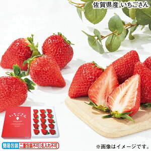 お歳暮 佐賀県産 いちごさん 冬ギフト 送料込み ギフト プレゼント 贈答 お取り寄せ お土産 (レビュー記入で300円OFFクーポン配布中)