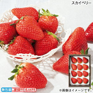 Ε XJCx[ ~Mtg  Mtg v[g   yY (r[L300~OFFN[|zz)