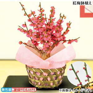 Ε g~A ~Mtg  Mtg v[g   yY (r[L300~OFFN[|zz)