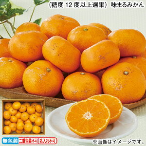 ix12xȏIʁj܂݂  Mtg v[g   yY (r[L300~OFFN[|zz)