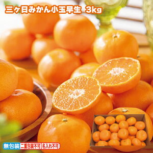 O݂񏬋ʑ  Mtg v[g   yY (r[L300~OFFN[|zz)