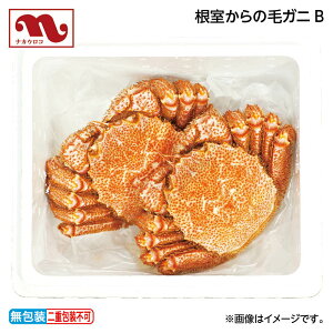 ԒI11/28܂Łyʏ퉿i12,200~11,000~zΕ ̖уKjA  Mtg v[g   yY (r[L300~OFFN[|zz)