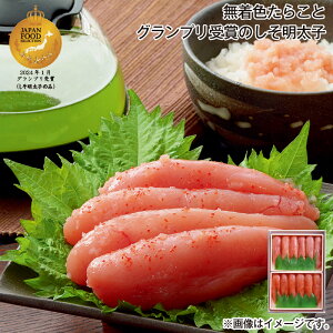 Ε F炱ƃOv܂̂q  Mtg v[g   yY (r[L300~OFFN[|zz)