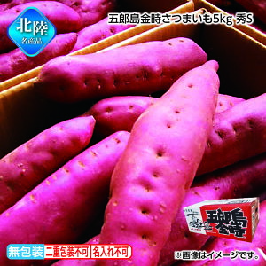 Ε ܘY܂5kg@GS  Mtg v[g   yY (r[L300~OFFN[|zz)