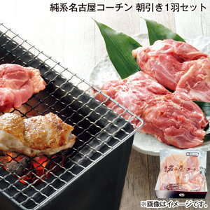 ԒI11/28܂Łyʏ퉿i4,900~4,590~zΕ nÉR[`@1HZbg  Mtg v[g   yY (r[L300~OFFN[|zz)