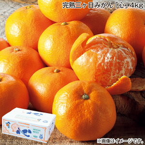 Ε nO݂uSv4kg  Mtg v[g   yY (r[L300~OFFN[|zz)