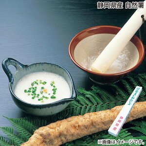 Ε ÉY@R  Mtg v[g   yY (r[L300~OFFN[|zz)