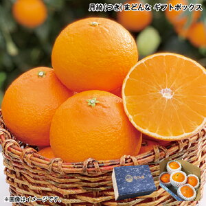 Ε Yij܂ǂȁ@Mtg{bNX  Mtg v[g   yY (r[L300~OFFN[|zz)