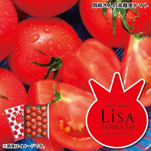 Ε 肳̍xg}g  Mtg v[g   yY (r[L300~OFFN[|zz)