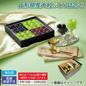 R`Y嗱Ԃǂl  Mtg v[g   yY (r[L300~OFFN[|zz)
