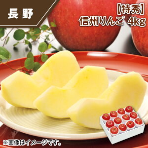 【特秀】信州りんご 特秀 3kg 特秀 4kg ご自宅用 3kg 送料込み ギフト プレゼント 贈答 お取り寄せ お土産 (レビュー記入で300円OFFクーポン配布中)