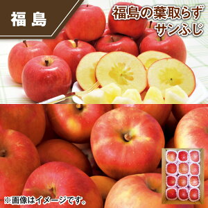福島の葉取らずサンふじ 送料込み ギフト プレゼント 贈答 お取り寄せ お土産 (レビュー記入で300円OFFクーポン配布中)