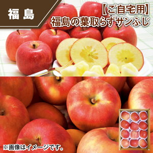 ̗t炸Tӂ 3kgipj 10kgi킯EVl߁j  Mtg v[g   yY (r[L300~OFFN[|zz)