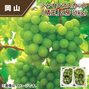 VC}XJbguv 1[i700gj 2[i1kgj  Mtg v[g   yY (r[L300~OFFN[|zz)