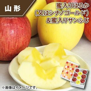 ͂邩i̓VimS[hjTӂ  Mtg v[g   yY (r[L300~OFFN[|zz)