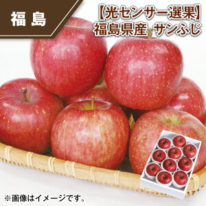 yZT[IʁzY@Tӂ  Mtg v[g   yY (r[L300~OFFN[|zz)