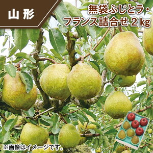 ܂ӂƃEtXl2kg  Mtg v[g   yY (r[L300~OFFN[|zz)