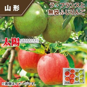 EtXƖ܂ӂ  Mtg v[g   yY (r[L300~OFFN[|zz)