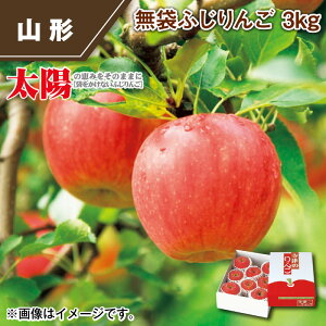 ܂ӂ 3kg 5gki󂠂j  Mtg v[g   yY (r[L300~OFFN[|zz)