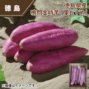 Y@uނ߁v  Mtg v[g   yY (r[L300~OFFN[|zz)