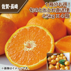 {̂ƂƂ꒼ցiB݂j 2D5kg 4D5kg 4D5kg×4  Mtg v[g   yY (r[L300~OFFN[|zz)