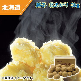越冬　北あかり　3kg 送料込み ギフト プレゼント 贈答 お取り寄せ お土産 (レビュー記入で300円OFFクーポン配布中)