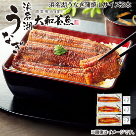 浜名湖うなぎ蒲焼 Lサイズ3本 Lサイズ2本 Mサイズ2本 送料込み ギフト プレゼント 贈答 お取り寄せ お土産 (レビュー記入で300円OFFクーポン配布中)