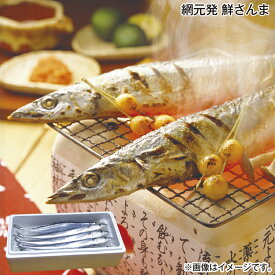 網元発　鮮さんま 送料込み ギフト プレゼント 贈答 お取り寄せ お土産 (レビュー記入で300円OFFクーポン配布中)