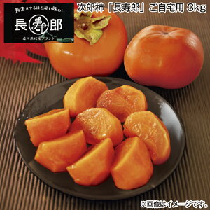 Y`uYv 1D2kg p 3kg  Mtg v[g   yY (r[L300~OFFN[|zz)