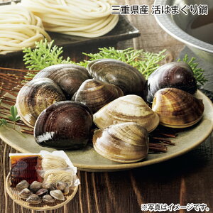 OdY@͂܂  Mtg v[g   yY (r[L300~OFFN[|zz)