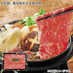 yⓀzјaĂp  Mtg v[g   yY (r[L300~OFFN[|zz)