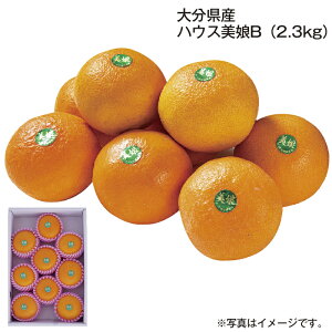 啪Y nEX A(1.7kg) B(2.3kg)  Mtg v[g   yY (r[L300~OFFN[|zz)