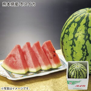 F{Y@~XCJ  Mtg v[g   yY (r[L300~OFFN[|zz)