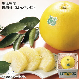 F{Y@ӔM  Mtg v[g   yY (r[L300~OFFN[|zz)