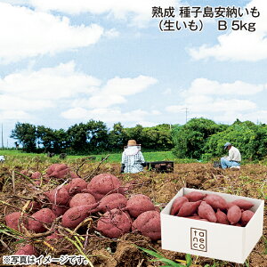 �n�� ��q�����[�����i�������j A 2kg B 5kg �������� �M�t�g �v���[���g ���� ������ ���y�Y (���r���[�L����300�~OFF�N�[�|���z�z��)