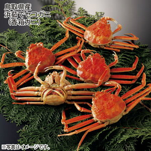 挧Y@l䥂ŃZRKjiKjj  Mtg v[g   yY (r[L300~OFFN[|zz)