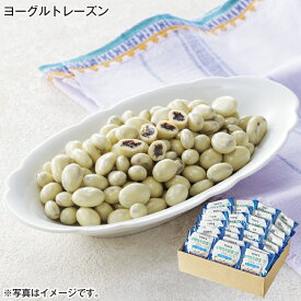 ヨーグルトレーズン 送料込み ギフト プレゼント 贈答 お取り寄せ お土産 (レビュー記入で300円OFFクーポン配布中)